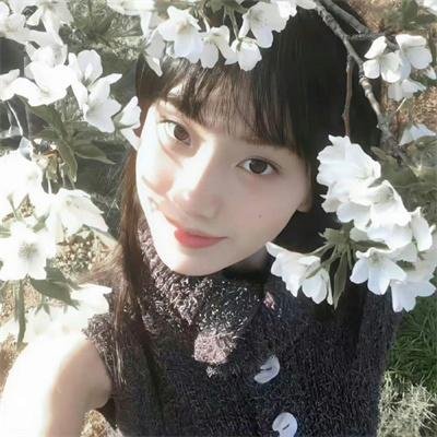 双栖间谍